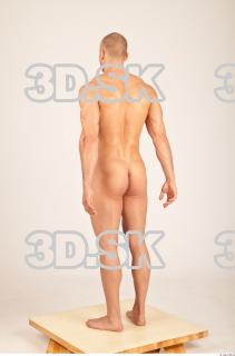 Body texture of Bystrik 0020